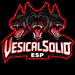 Vesicalsolid