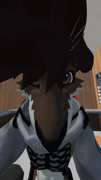 CoopDaLoop63