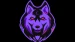 wolf-sterben avatar