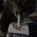 Nirvana_21