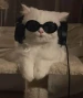 kutayb