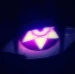 seensgd11