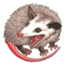 ltsincalir avatar