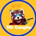 mrcongitoo
