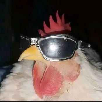 SmallJeff