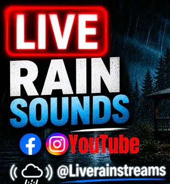Liverainstreams