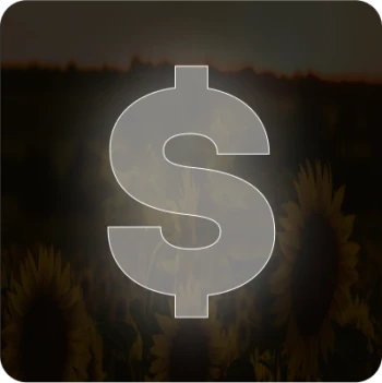 chancecase