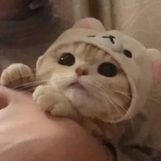 chrisfv1