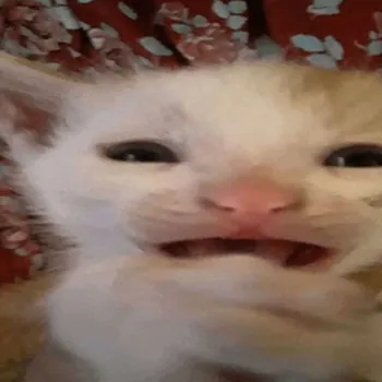 Carloffarr