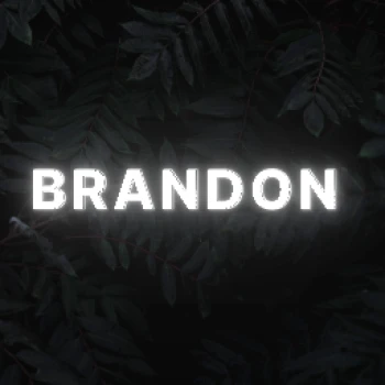 brandon_gaming590