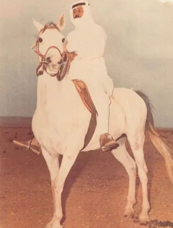 BinTmran509