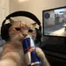 25_LE0N4RD0