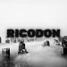 Ricodon876