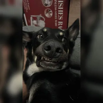 DontCallMeJisus04