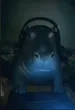Vahooky
