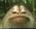 XxElRexX