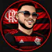Flamengokg