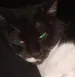 Esteban0425