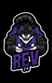 irev-24 avatar