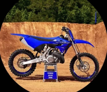 eldelayz250