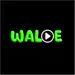 Waloe0