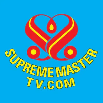 SupremeMasterTelevision