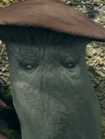 KenJahFly