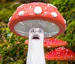 MrDeathcap