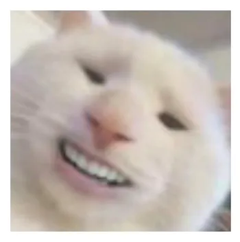 tonyhzzz