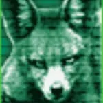 liquidbrain Kick Profile Picture