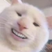 Peen_Monger