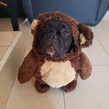 gus_soto