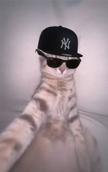 NEADZ