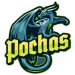 Pochas