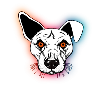 OjosdePerroChusco
