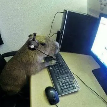 Capibaraby09