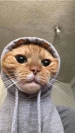 sunmeme avatar