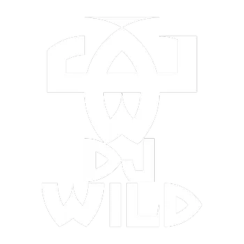 DJWILD