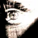 idronix_dnb