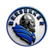 Berserker_player