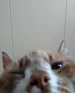 wkoo0