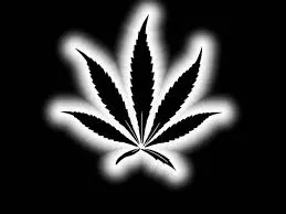 AdoTHC