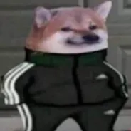 P0Ls_ki