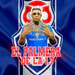 cabezapalmera