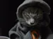 Kayn4K