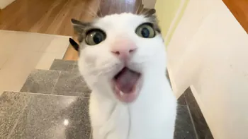 jJamer