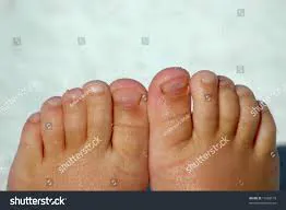 Kick Profile Pic