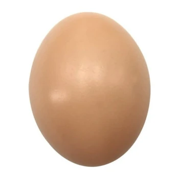 Elhuevinnn