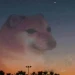 benjamonoXD Profile Picture