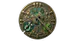 SLD1